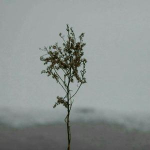 坐爱喷奶水四溅视频
